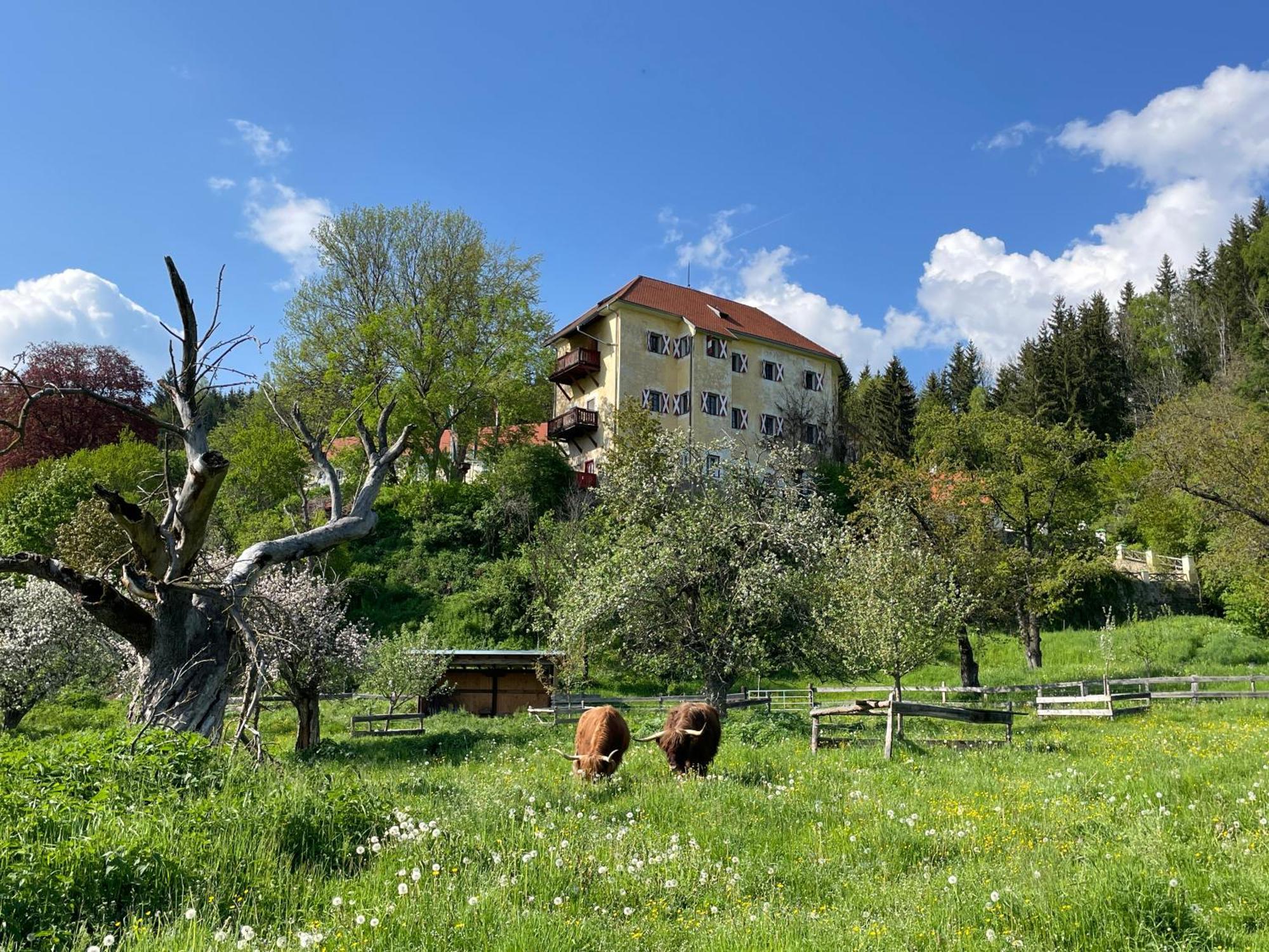 Hotel Landsitz Pichlschloss Neumarkt in Steiermark المظهر الخارجي الصورة